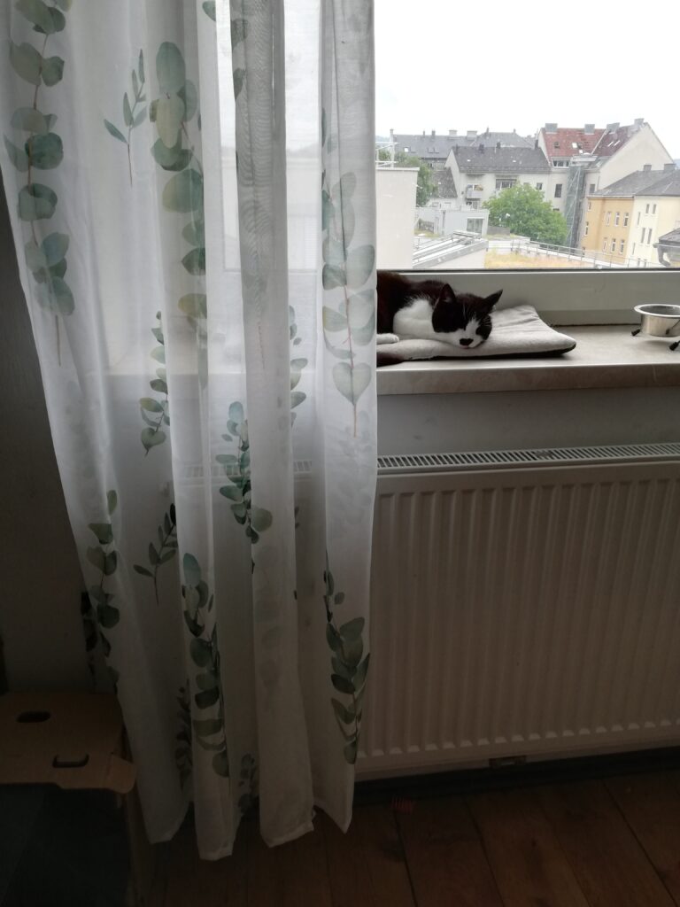 Katze auf dem Fensterbrett einer Wohnung